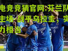 芬兰队主场-战平乌拉圭，实力相当