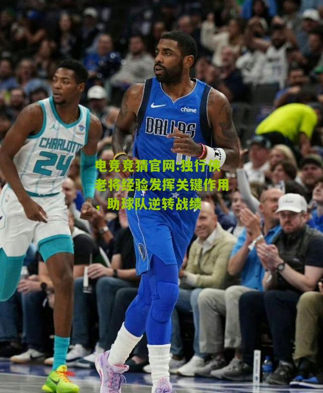 独行侠老将经验发挥关键作用，助球队逆转战绩