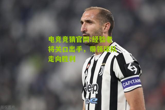 经验老将关口出手，带领球队走向胜利