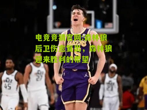 森林狼后卫伤愈复出，森林狼迎来胜利的希望