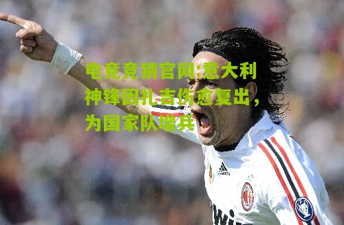 电竞竞猜官网:意大利神锋因扎吉伤愈复出，为国家队增兵