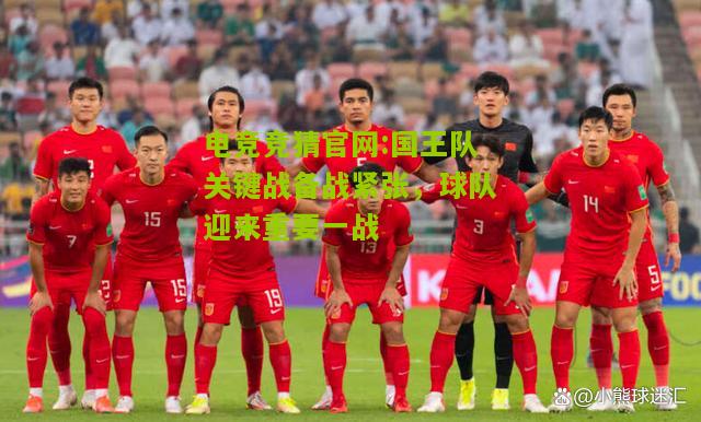 电竞竞猜官网:国王队关键战备战紧张，球队迎来重要一战