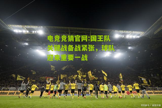 国王队关键战备战紧张，球队迎来重要一战