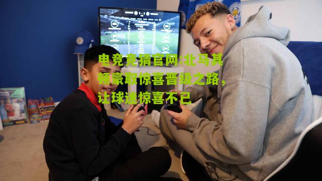 北马其顿豪取惊喜晋级之路，让球迷惊喜不已