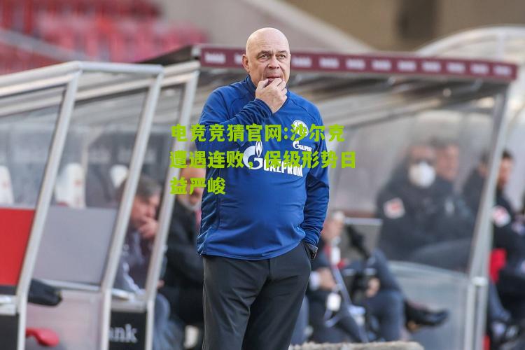 沙尔克遭遇连败，保级形势日益严峻