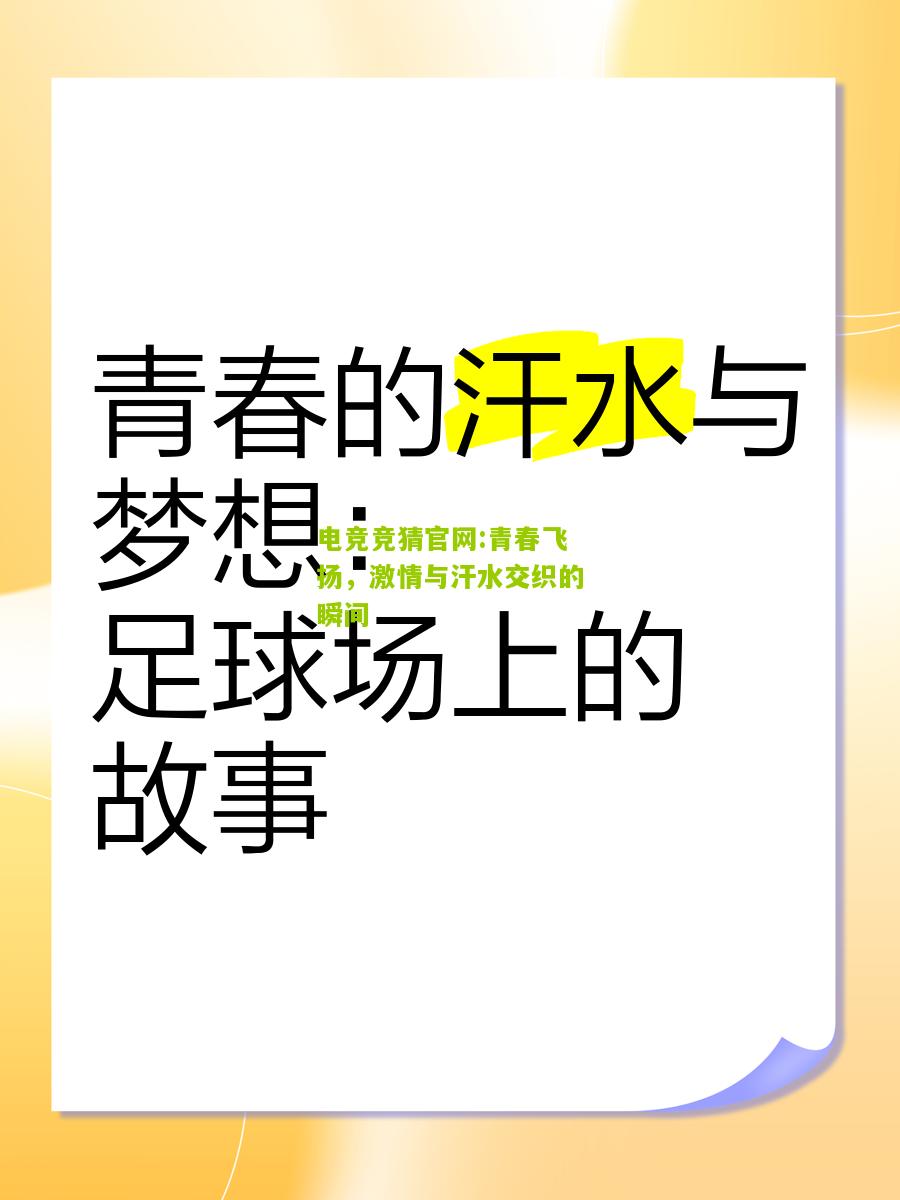 青春飞扬，激情与汗水交织的瞬间